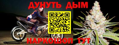 прущие грибы Краснокаменск
