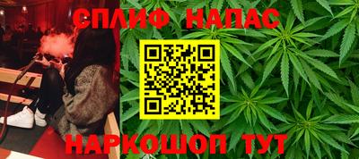 прущие грибы Краснокаменск