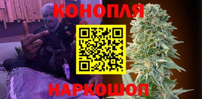 прущие грибы Краснокаменск