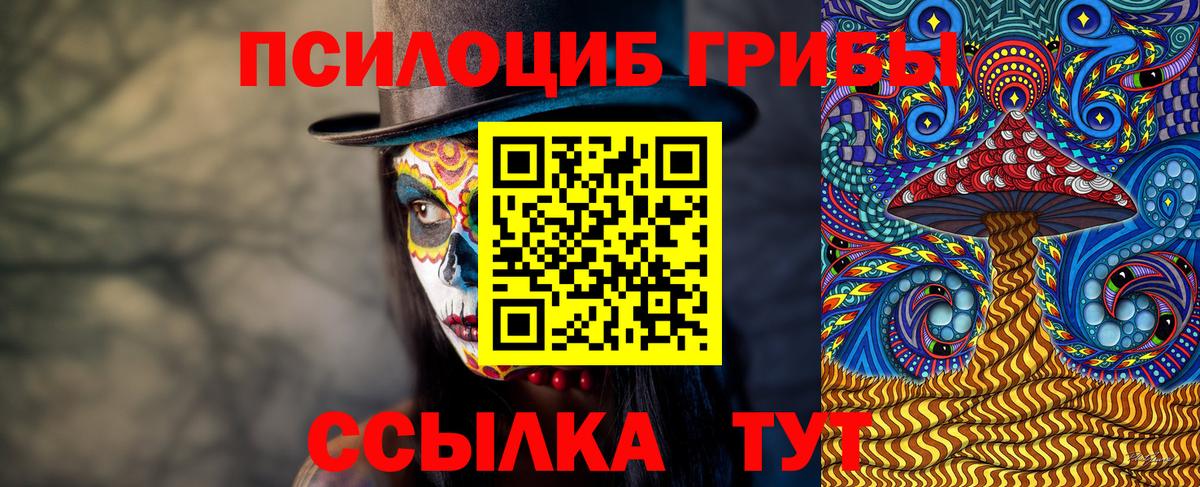 Псилоцибиновые грибы мухоморы Дзержинск