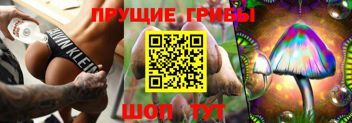 Псилоцибиновые грибы мухоморы  Вход с VPN  сколько стоит  Дзержинск 